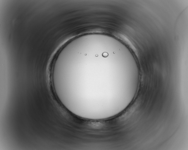 X0000092270835200709140903