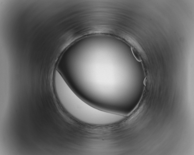 X0000092270842200709140903