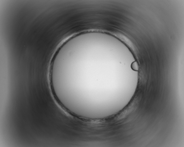 X0000092270847200709140903