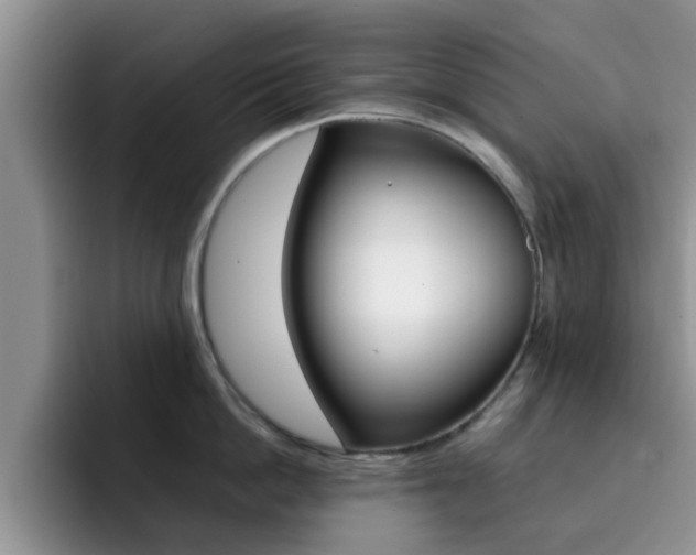 X0000092270862200709140903