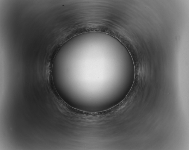 X0000092270868200709140902