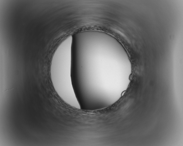 X0000092270869200709140902