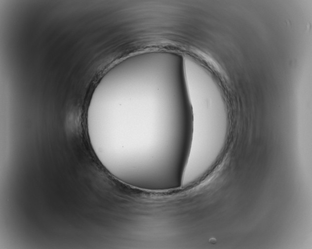 X0000092270873200709140902