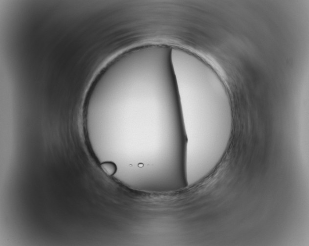 X0000092270895200709140902