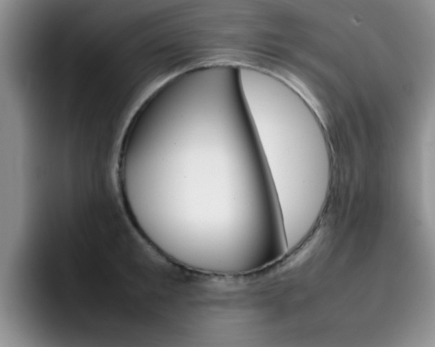 X0000092270901200709140902