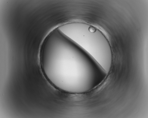 X0000092270902200709140902