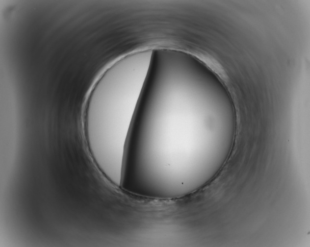 X0000092270912200709140902