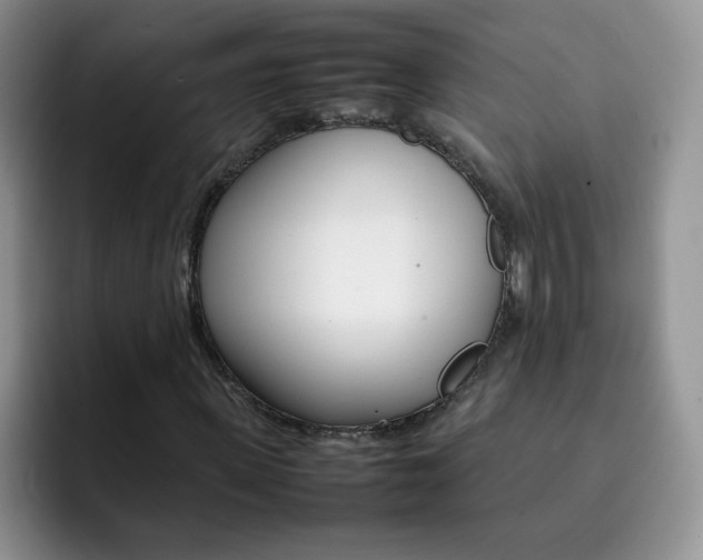 X0000092270915200709140901
