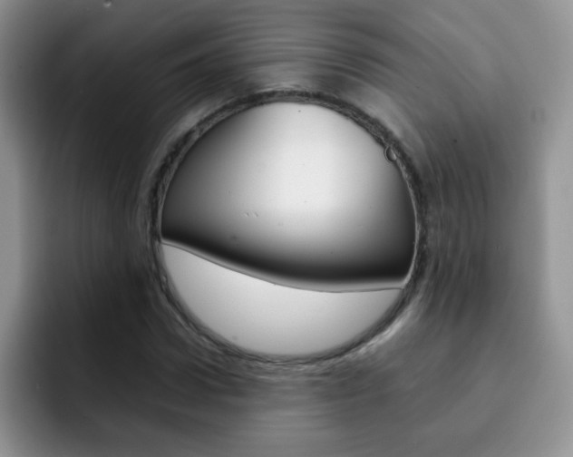 X0000092270922200709140901
