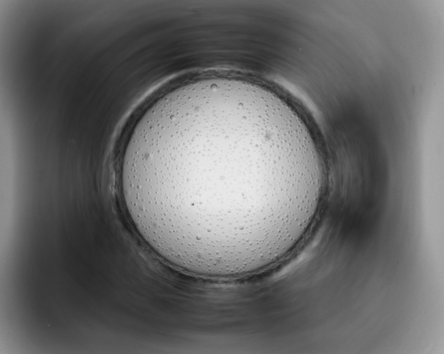 X0000092270925200709140902