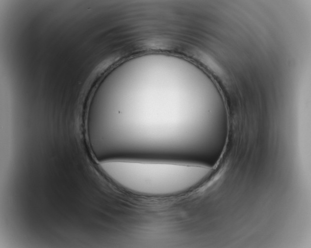 X0000092270930200709140902