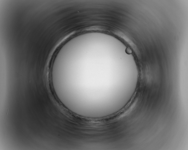 X0000092270933200709140902