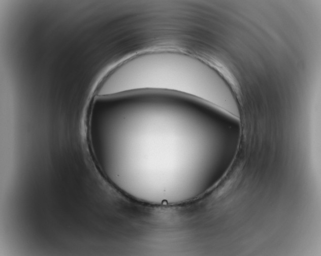 X0000092270944200709140902