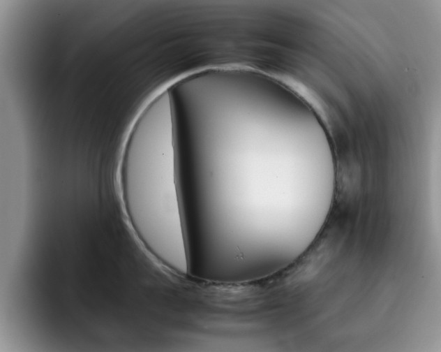 X0000092270959200709140902