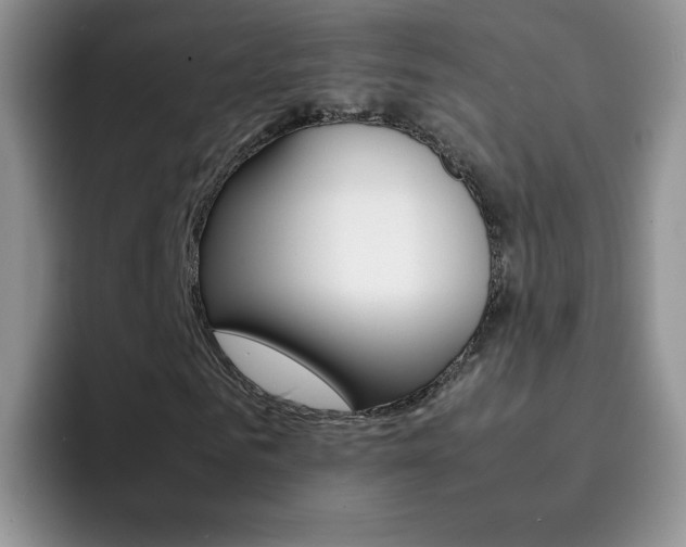 X0000092270961200709140901
