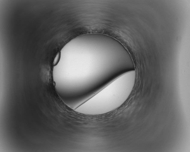 X0000092270963200709140901