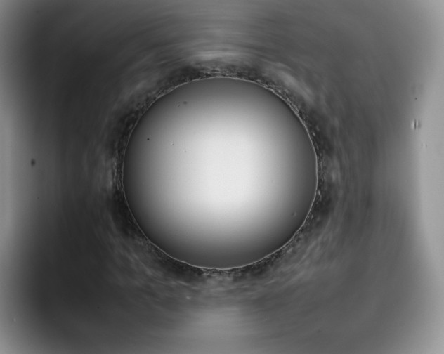 X0000092270965200709140901