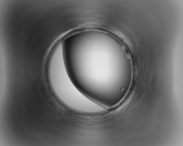 X0000092270973200709140901