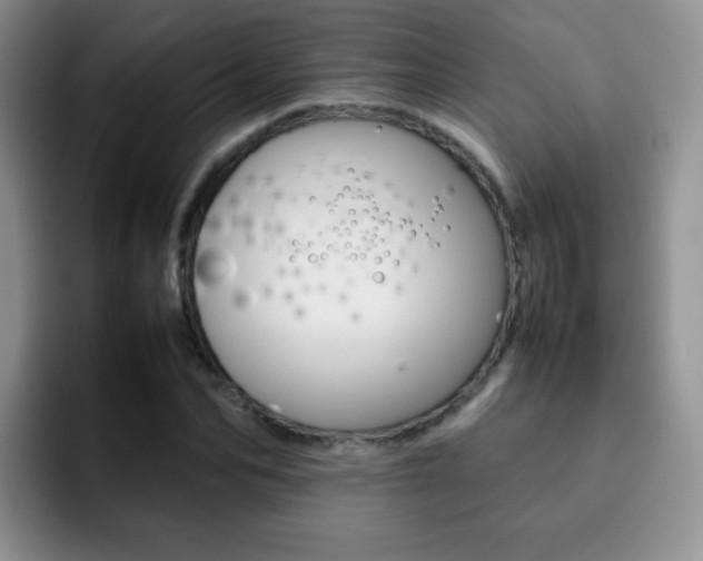 X0000092270974200709140901