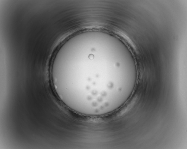 X0000092270978200709140901