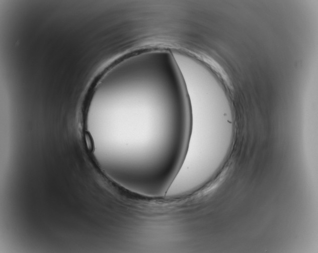 X0000092270981200709140901