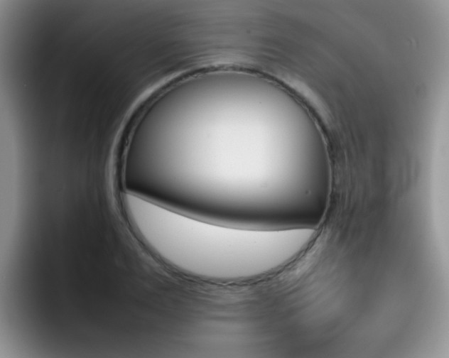 X0000092270983200709140901