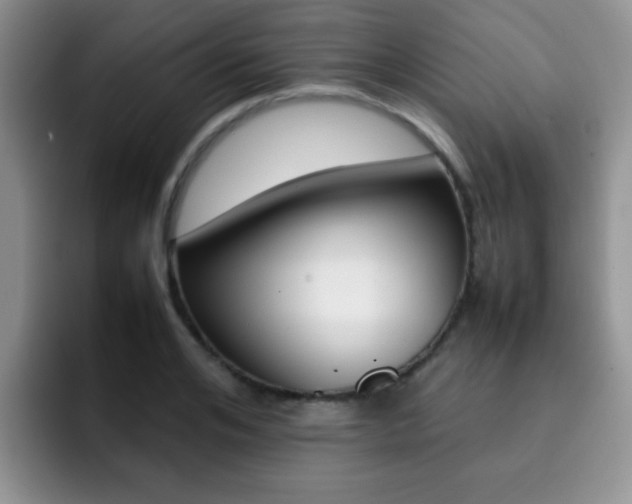 X0000092270984200709140901