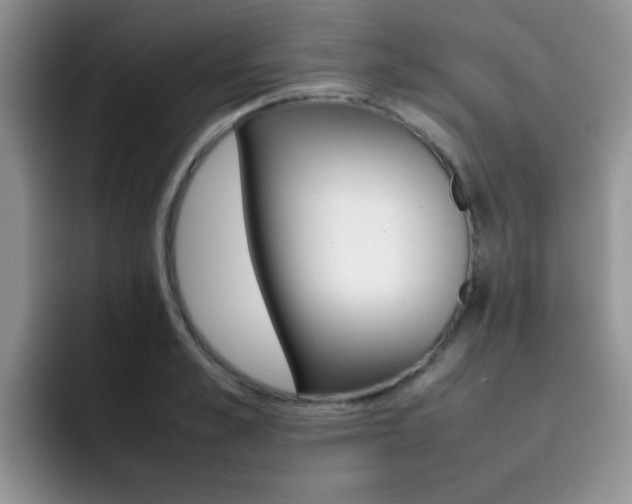X0000092270989200709140901