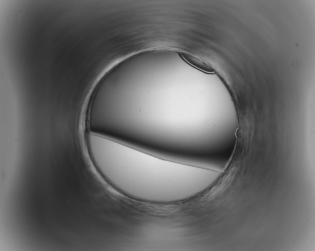 X0000092271007200709140901
