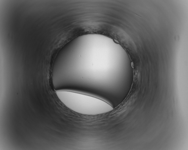 X0000092271012200709140900