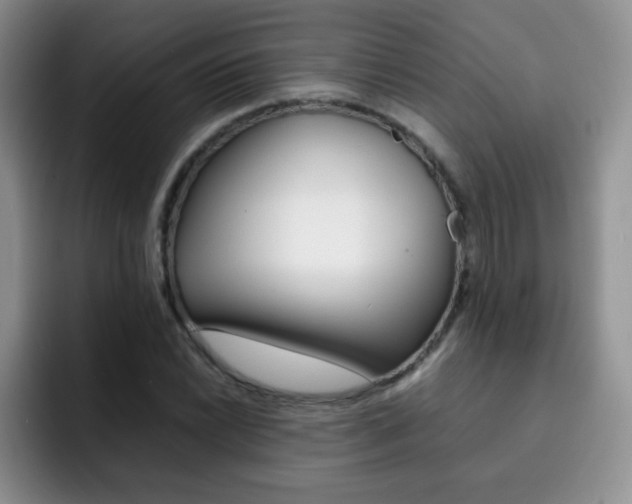 X0000092271022200709140900