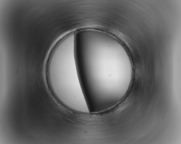 X0000092271024200709140900