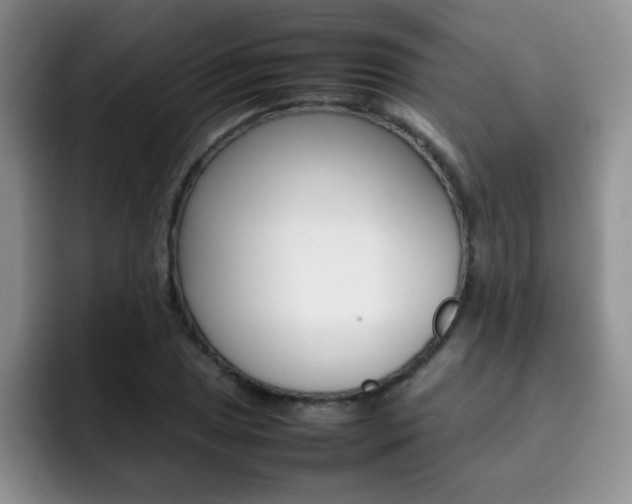 X0000092271025200709140900