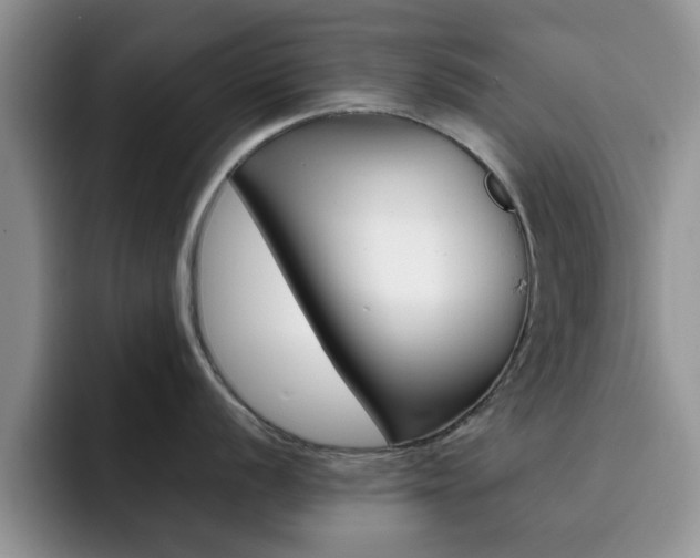 X0000092271056200709140901