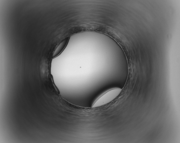 X0000092271058200709140900