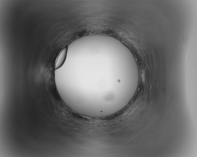 X0000092271059200709140900