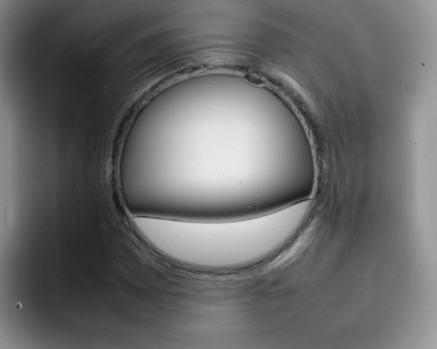 X0000092271065200709140900