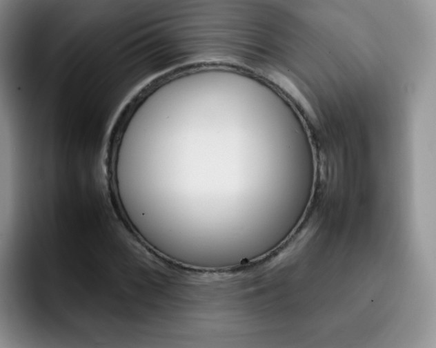 X0000092271068200709140900