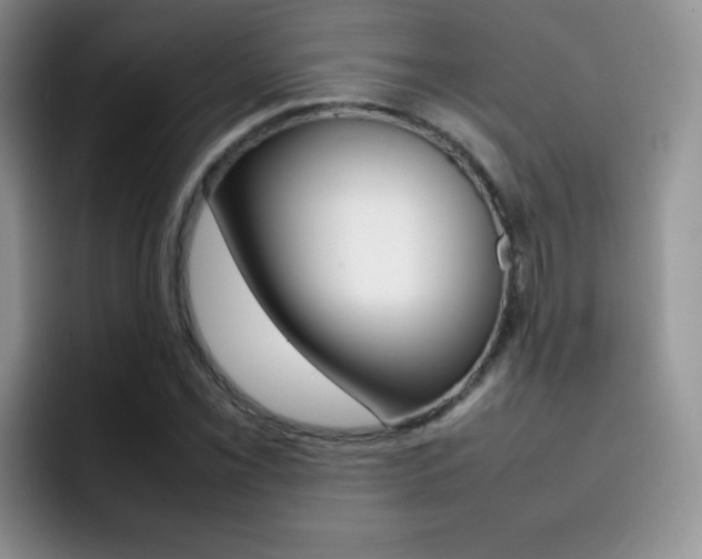 X0000092271069200709140900
