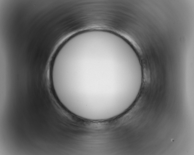 X0000092271078200709140900