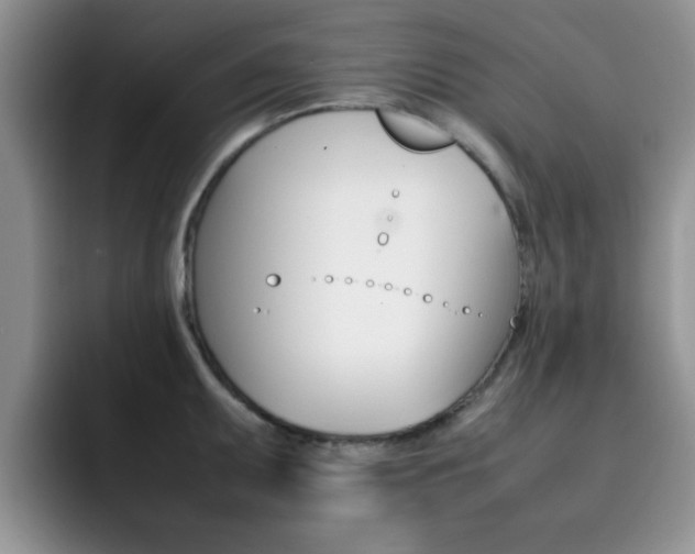 X0000092271095200709140900
