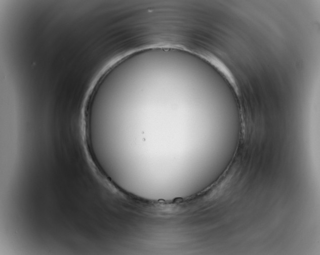 X0000092271096200709140900