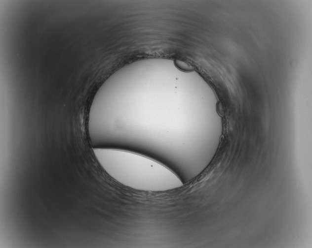 X0000092271106200709140859
