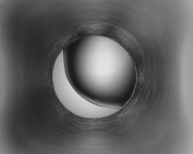 X0000092271108200709140859
