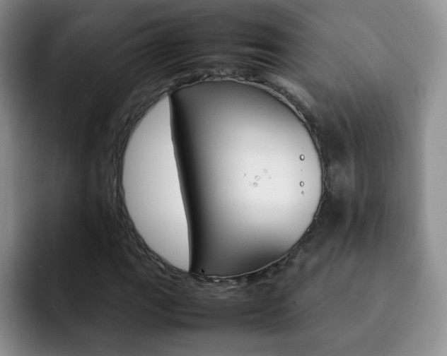 X0000092271111200709140859
