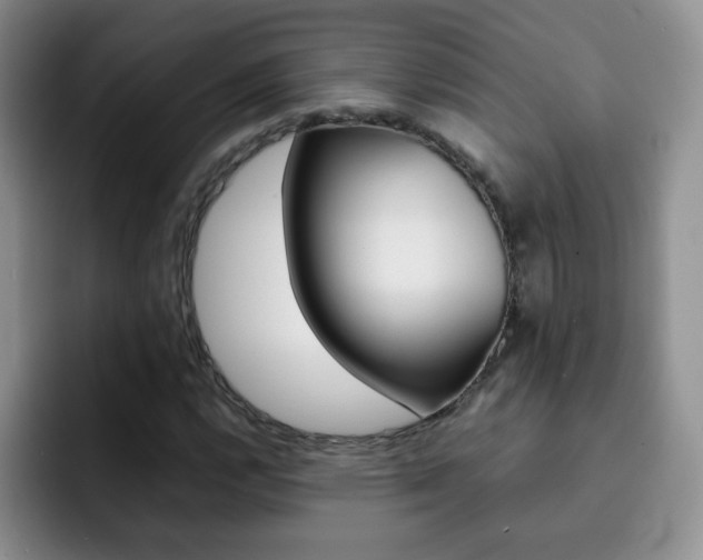 X0000092271112200709140859