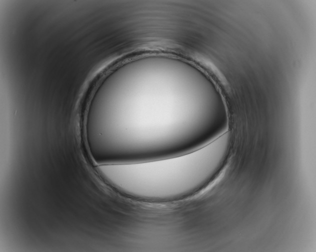 X0000092271114200709140859