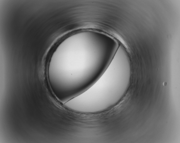 X0000092271116200709140859