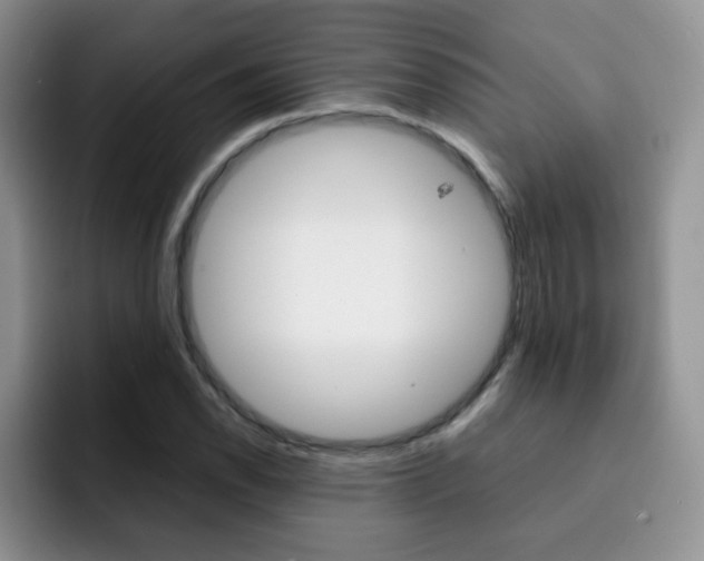 X0000092271118200709140859