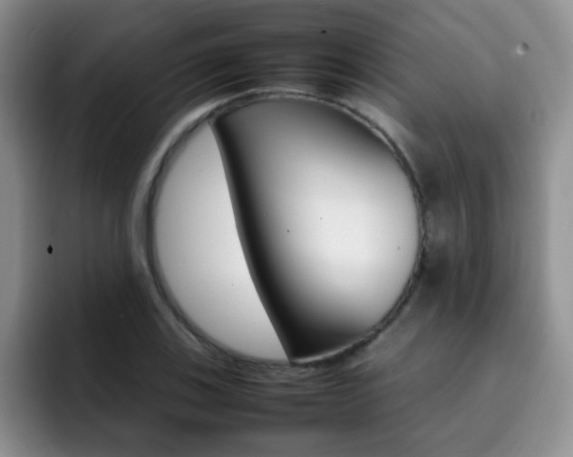 X0000092271123200709140859